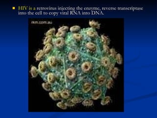 HIV is a  retrovirus injecting the enzyme, reverse transcriptase into the cell to copy viral RNA into DNA.   