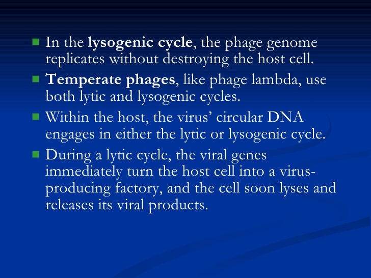 kingdom monera and virus lytic and lysogenic cycle venn diagram