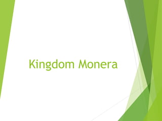 Kingdom Monera
 
