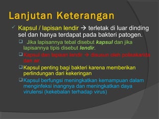 Lanjutan Keterangan
   Kapsul / lapisan lendir  terletak di luar dinding
    sel dan hanya terdapat pada bakteri patogen.
     Jika lapisannya tebal disebut kapsul dan jika
      lapisannya tipis disebut lendir.
     Kapsul dan lapisan lendir  disusun oleh polisakarida
      dan air.
     Kapsul penting bagi bakteri karena memberikan
      perlindungan dari kekeringan
     Kapsul berfungsi meningkatkan kemampuan dalam
      menginfeksi inangnya dan meningkatkan daya
      virulensi (kekebalan terhadap virus)
 