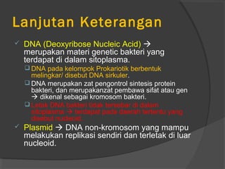 Lanjutan Keterangan
   DNA (Deoxyribose Nucleic Acid) 
    merupakan materi genetic bakteri yang
    terdapat di dalam sitoplasma.
     DNA pada kelompok Prokariotik berbentuk
      melingkar/ disebut DNA sirkuler.
     DNA merupakan zat pengontrol sintesis protein
      bakteri, dan merupakanzat pembawa sifat atau gen
       dikenal sebagai kromosom bakteri.
     Letak DNA bakteri tidak tersebar di dalam
      sitoplasma  terdapat pada daerah tertentu yang
      disebut nucleoid.
   Plasmid  DNA non-kromosom yang mampu
    melakukan replikasi sendiri dan terletak di luar
    nucleoid.
 