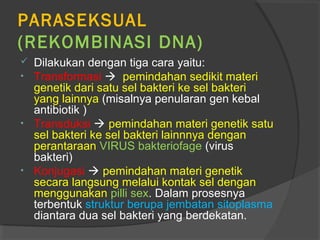 PARASEKSUAL
(REKOMBINASI DNA)
 Dilakukan dengan tiga cara yaitu:
• Transformasi  pemindahan sedikit materi
  genetik dari satu sel bakteri ke sel bakteri
  yang lainnya (misalnya penularan gen kebal
  antibiotik )
• Transduksi  pemindahan materi genetik satu
  sel bakteri ke sel bakteri lainnnya dengan
  perantaraan VIRUS bakteriofage (virus
  bakteri)
• Konjugasi  pemindahan materi genetik
  secara langsung melalui kontak sel dengan
  menggunakan pilli sex. Dalam prosesnya
  terbentuk struktur berupa jembatan sitoplasma
  diantara dua sel bakteri yang berdekatan.
 