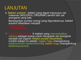 LANJUTAN
2. Bakteri autotrof : bakteri yang dapat menyusun zat
   makanan (MOLEKUL ORGANIK) sendiri dari zat
   anorganik yang ada.
   Berdasarkan sumber energi yang digunakannya, bakteri
   autotrof dibedakan menjadi:
   1. fotoautotrof
   2. kemoautotrof.

   Bakteri fotoautrotof  bakteri yang memanfaatkan
    cahaya sebagai energi untuk mengubah zat anorganik
    menjadi zat organik melalui proses fotosintesis.
    Contoh bakteri ini adalah: bakteri hijau (mengandung
    bakterioviridin/ bakterioklorofil), bakteri ungu (mengandung
    bakteriopurpurin).
 