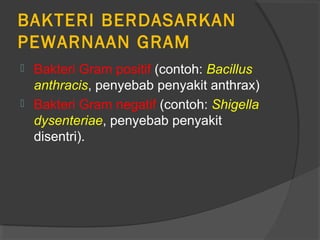 BAKTERI BERDASARKAN
PEWARNAAN GRAM
 Bakteri Gram positif (contoh: Bacillus
  anthracis, penyebab penyakit anthrax)
 Bakteri Gram negatif (contoh: Shigella
  dysenteriae, penyebab penyakit
  disentri).
 