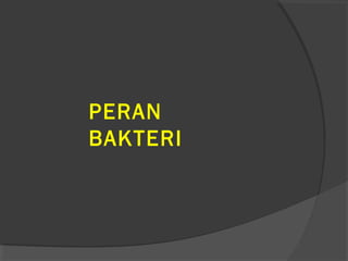 PERAN
BAKTERI
 