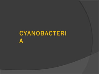 CYANOBACTERI
A
 