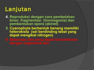 Lanjutan
4. Reproduksi dengan cara pembelahan
   biner, fragmentasi (hormogonia) dan
   pembentukan spora (akinet)
5. Cyanophyta berbentuk benang memiliki
   heterokista (sel berdinding tebal yang
   dapat mengikat nitrogen)
6. Beberapa ada yang dapat bersimbiosis
   dengan organisme lain
 