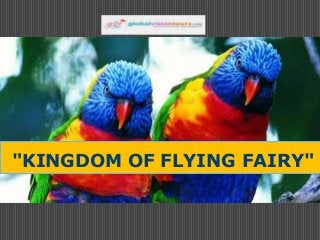 "KINGDOM OF FLYING FAIRY"

 