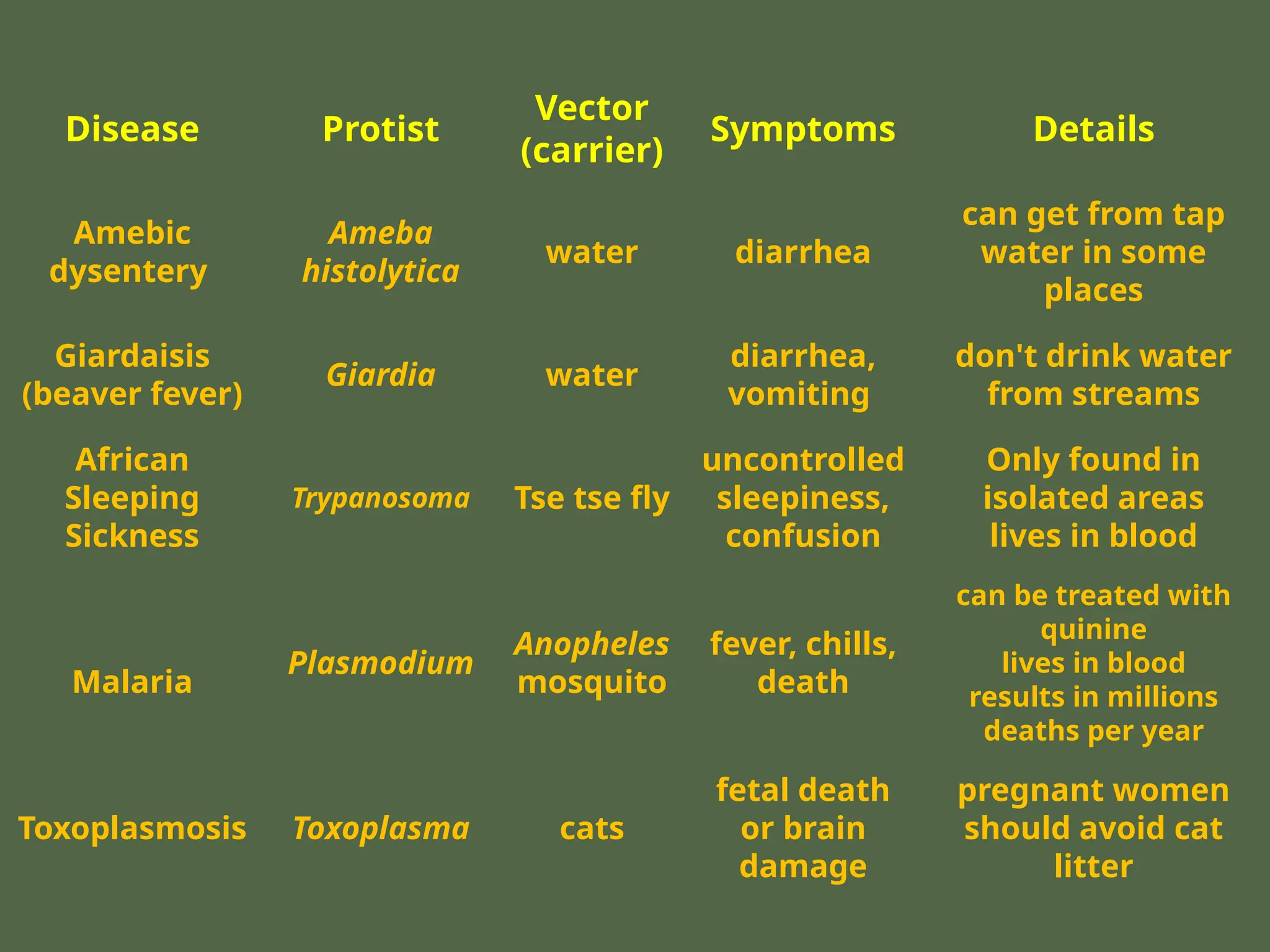 Disease Protist
Vector
(carrier)
Symptoms Details
Amebic
dysentery
Ameba
histolytica
water diarrhea
can get from tap
water in some
places
Giardaisis
(beaver fever)
Giardia water
diarrhea,
vomiting
don't drink water
from streams
African
Sleeping
Sickness
Trypanosoma Tse tse fly
uncontrolled
sleepiness,
confusion
Only found in
isolated areas
lives in blood
Malaria
Plasmodium
Anopheles
mosquito
fever, chills,
death
can be treated with
quinine
lives in blood
results in millions
deaths per year
Toxoplasmosis Toxoplasma cats
fetal death
or brain
damage
pregnant women
should avoid cat
litter
 