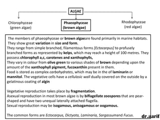 ALGAE

Chlorophyceae                      Phaeophyceae                        Rhodophyceae
 (green algae)                    (brown algae)                         (red algae)

 The members of phaeophyceae or brown algaeare found primarily in marine habitats.
They show great variation in size and form.
They range from simple branched, filamentous forms [Ectocarpus] to profusely
branched forms as represented by kelps, which may reach a height of 100 metres. They
possess chlorophyll a,c, carotenes and xanthophylls,
They vary in colour from olive green to various shades of brown depending upon the
amount of the xanthophyll pigment, fucoxanthin present in them.
Food is stored as complex carbohydrates, which may be in the of laminarin or
mannitol. The vegetative cells have a cellulosic wall dually covered on the outside by a
gelatinous coating of algin

Vegetative reproduction takes place by fragmentation.
Asexual reproduction in most brown algae is by biflagellate zoospores that are pear-
shaped and have two unequal laterally attached flagella.
Sexual reproduction may be isogamous, anisogamous or oogamous.

The common forms are Ectocarpus, Dictyota, Laminaria, Sargassumand Fucus.          dr.aarif
 