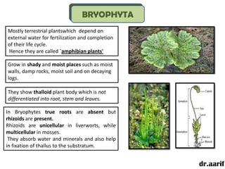 BRYOPHYTA
Mostly terrestrial plantswhich depend on
external water for fertilization and completion
of their life cycle.
Hence they are called `amphibian plants'

Grow in shady and moist places such as moist
walls, damp rocks, moist soil and on decaying
logs.

They show thalloid plant body which is not
differentiated into root, stem and leaves.

In Bryophytes true roots are absent but
rhizoids are present.
Rhizoids are unicellular in liverworts, while
multicellular in mosses.
 They absorb water and minerals and also help
in fixation of thallus to the substratum.


                                                  dr.aarif
 
