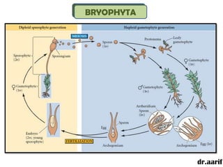 BRYOPHYTA




            dr.aarif
 