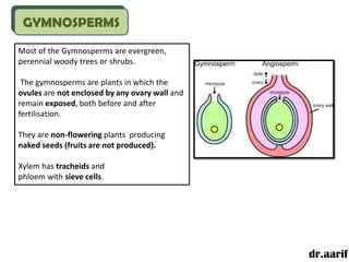 GYMNOSPERMS
Most of the Gymnosperms are evergreen,
perennial woody trees or shrubs.

 The gymnosperms are plants in which the
ovules are not enclosed by any ovary wall and
remain exposed, both before and after
fertilisation.

They are non-flowering plants producing
naked seeds (fruits are not produced).

Xylem has tracheids and
phloem with sieve cells.




                                                dr.aarif
 