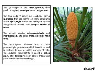 The gymnosperms are heterosporous; they
produce haploid microspores and megaspores.

The two kinds of spores are produced within
sporangia that are borne on leafy structures
called sporophylls which are arranged spirally
along an axis to form lax or compact strobili or
cones.

The strobili bearing microsporophylls and
microsporangia are called male strobili or male
cone

The microspores develop into a male
gametophytic generation which is reduced and
is confined to only a limited number of cells.
This reduced gametophyte is called a pollen
grain. The development of pollen grains take
place within the microsporangia.



                                                   dr.aarif
 