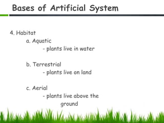 Bases of Artificial System
4. Habitat
a. Aquatic
- plants live in water
b. Terrestrial
- plants live on land
c. Aerial
- plants live above the
ground
 