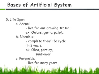 Bases of Artificial System
5. Life Span
a. Annual
- live for one growing season
ex. Onions, garlic, patola
b. Biennials
- complete their life cycle
in 2 years
ex. Okra, parsley,
sunflower
c. Perennials
- live for many years
 
