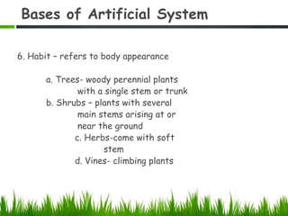 Bases of Artificial System
6. Habit – refers to body appearance
a. Trees- woody perennial plants
with a single stem or trunk
b. Shrubs – plants with several
main stems arising at or
near the ground
c. Herbs-come with soft
stem
d. Vines- climbing plants
 