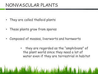 NONVASCULAR PLANTS
• They are called thalloid plants
• These plants grow from spores
• Composed of mosses, liverworts and hornworts
• they are regarded as the “amphibians” of
the plant world since they need a lot of
water even if they are terrestrial in habitat
 