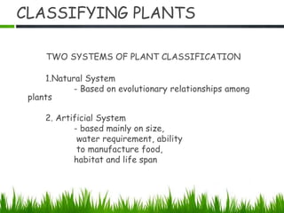 CLASSIFYING PLANTS
TWO SYSTEMS OF PLANT CLASSIFICATION
1.Natural System
- Based on evolutionary relationships among
plants
2. Artificial System
- based mainly on size,
water requirement, ability
to manufacture food,
habitat and life span
 