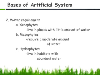 Bases of Artificial System
2. Water requirement
a. Xerophytes
-live in places with little amount of water
b. Mesophytes
-require a moderate amount
of water
c. Hydrophytes
-live in habitats with
abundant water
 