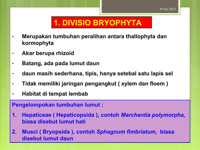 Kingdom plantae | PPT