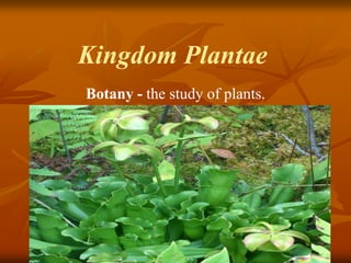 Kingdom Plantae
Botany - the study of plants.

 