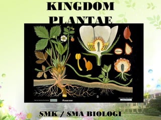 KINGDOM
PLANTAE
SMK / SMA BIOLOGI
 