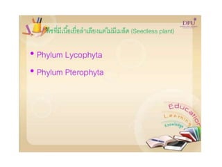 Kingdom plantae