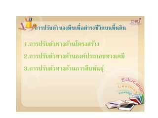 Kingdom plantae