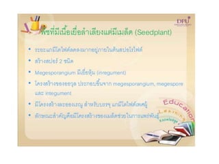Kingdom plantae