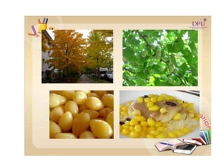Kingdom plantae