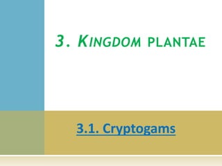 3.1. Cryptogams
3. KINGDOM PLANTAE
 