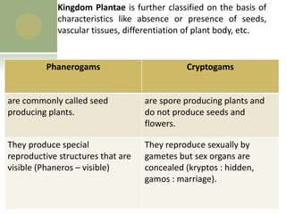 Kingdom Plantae is further classified on the basis of
characteristics like absence or presence of seeds,
vascular tissues, differentiation of plant body, etc.
Phanerogams Cryptogams
are commonly called seed
producing plants.
are spore producing plants and
do not produce seeds and
flowers.
They produce special
reproductive structures that are
visible (Phaneros – visible)
They reproduce sexually by
gametes but sex organs are
concealed (kryptos : hidden,
gamos : marriage).
 