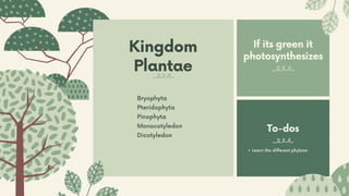 Kingdom
Plantae
Bryophyta
Pteridophyta
Pinophyta
Monocotyledon
Dicotyledon
If its green it
photosynthesizes
To-dos
Learn the different phylums
 
