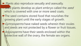  Plants also reproduce sexually and asexually.
Seed plants develop as plant embryo called the seed
which is covered with one or more seed coats.
The seed contains stored food that nourishes the
growing plant until the early stages of growth.
Gymnosperms have naked seeds wherein their ovules
and seeds are not protected by a flower or fruit tissues.
Angiosperms have their seeds enclosed within the
protective wall of the ovary, the female sex organs.
 