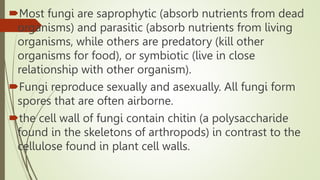 Most fungi are saprophytic (absorb nutrients from dead
organisms) and parasitic (absorb nutrients from living
organisms, while others are predatory (kill other
organisms for food), or symbiotic (live in close
relationship with other organism).
Fungi reproduce sexually and asexually. All fungi form
spores that are often airborne.
the cell wall of fungi contain chitin (a polysaccharide
found in the skeletons of arthropods) in contrast to the
cellulose found in plant cell walls.
 