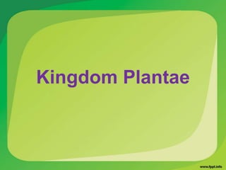Kingdom Plantae

 