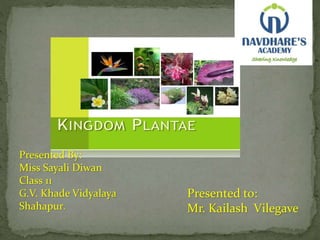 Kingdome Plantae 
Presented By: 
Miss Sayali Diwan 
Class 11 
G.V. Khade Vidyalaya 
Shahapur. 
Presented to: 
Mr. Kailash Vilegave 
 