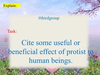 Explain:
#thirdgroup
Task:
Cite some useful or
beneficial effect of protist to
human beings.
 