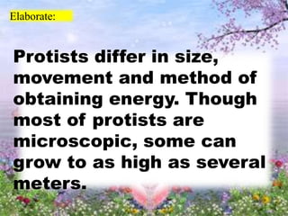 Elaborate:
Protists differ in size,
movement and method of
obtaining energy. Though
most of protists are
microscopic, some can
grow to as high as several
meters.
 