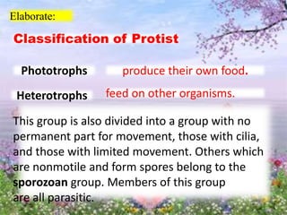 Elaborate:
This group is also divided into a group with no
permanent part for movement, those with cilia,
and those with limited movement. Others which
are nonmotile and form spores belong to the
sporozoan group. Members of this group
are all parasitic.
Classification of Protist
Phototrophs produce their own food.
Heterotrophs feed on other organisms.
 