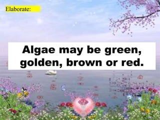 Elaborate:
Algae may be green,
golden, brown or red.
 