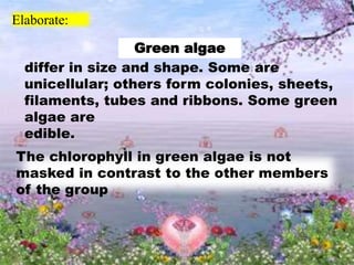 Elaborate:
The chlorophyll in green algae is not
masked in contrast to the other members
of the group
Green algae
differ in size and shape. Some are
unicellular; others form colonies, sheets,
filaments, tubes and ribbons. Some green
algae are
edible.
 
