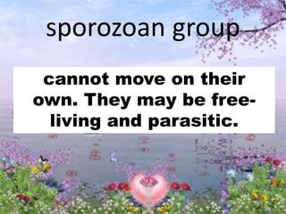 sporozoan group
cannot move on their
own. They may be free-
living and parasitic.
 