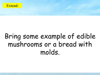 Extend:
Bring some example of edible
mushrooms or a bread with
molds.
 