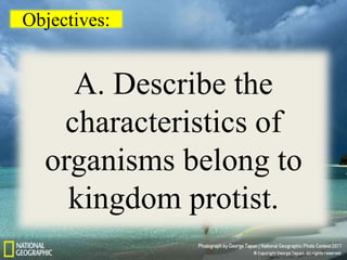 Objectives:
A. Describe the
characteristics of
organisms belong to
kingdom protist.
 