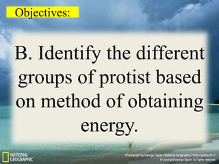 Objectives:
B. Identify the different
groups of protist based
on method of obtaining
energy.
 