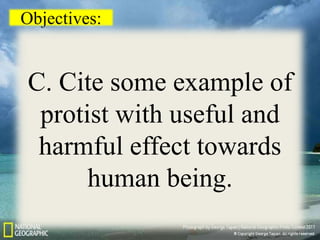 Objectives:
C. Cite some example of
protist with useful and
harmful effect towards
human being.
 