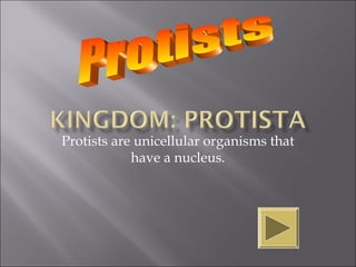 Protists are unicellular organisms that
            have a nucleus.
 