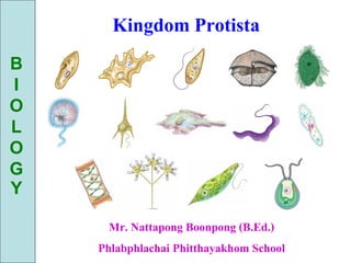 Kingdom Protista
B
I
O
L
O
G
Y

      Mr. Nattapong Boonpong (B.Ed.)
    Phlabphlachai Phitthayakhom School
 